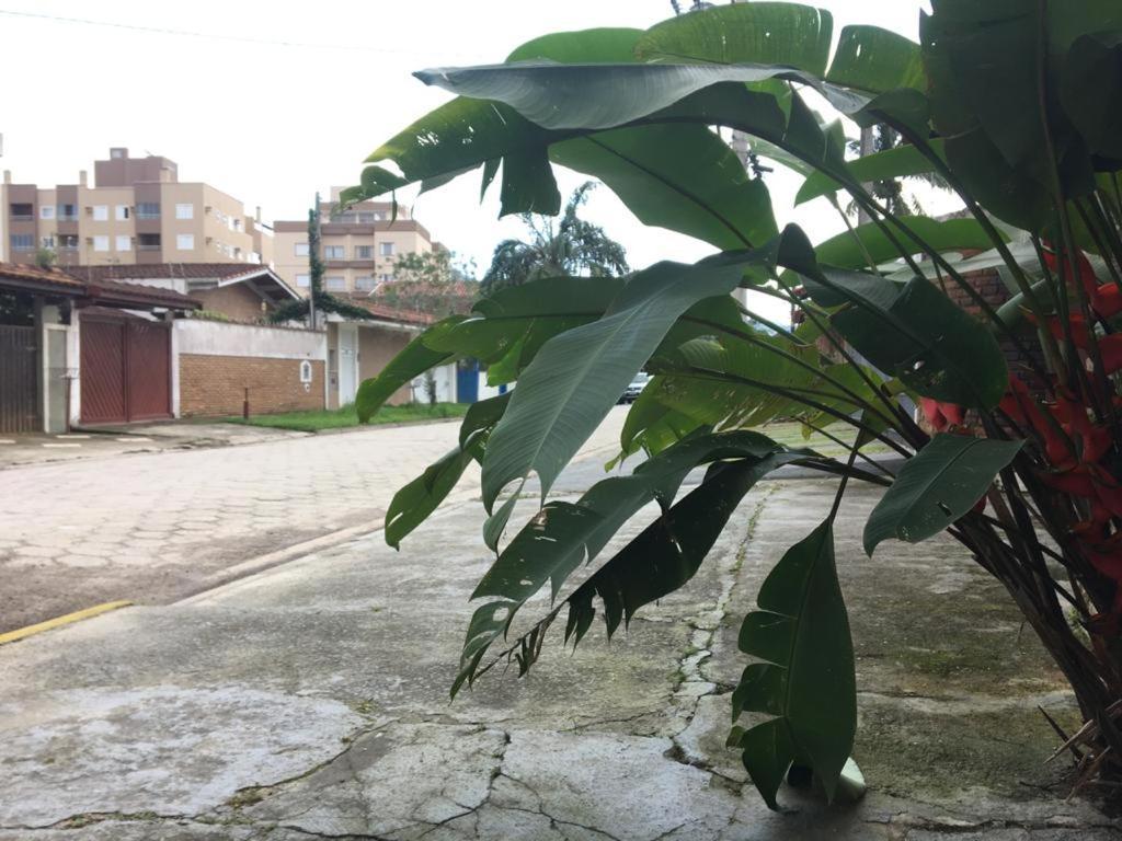 Efferus Hostel Ubatuba Esterno foto